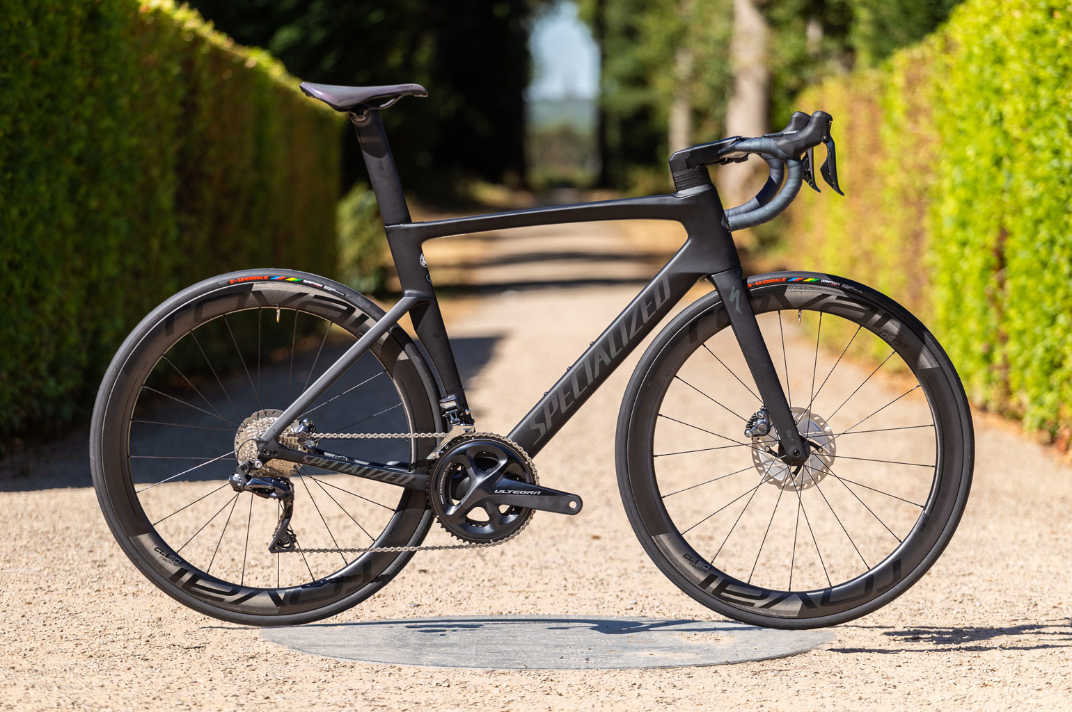 2018 venge sales pro disc