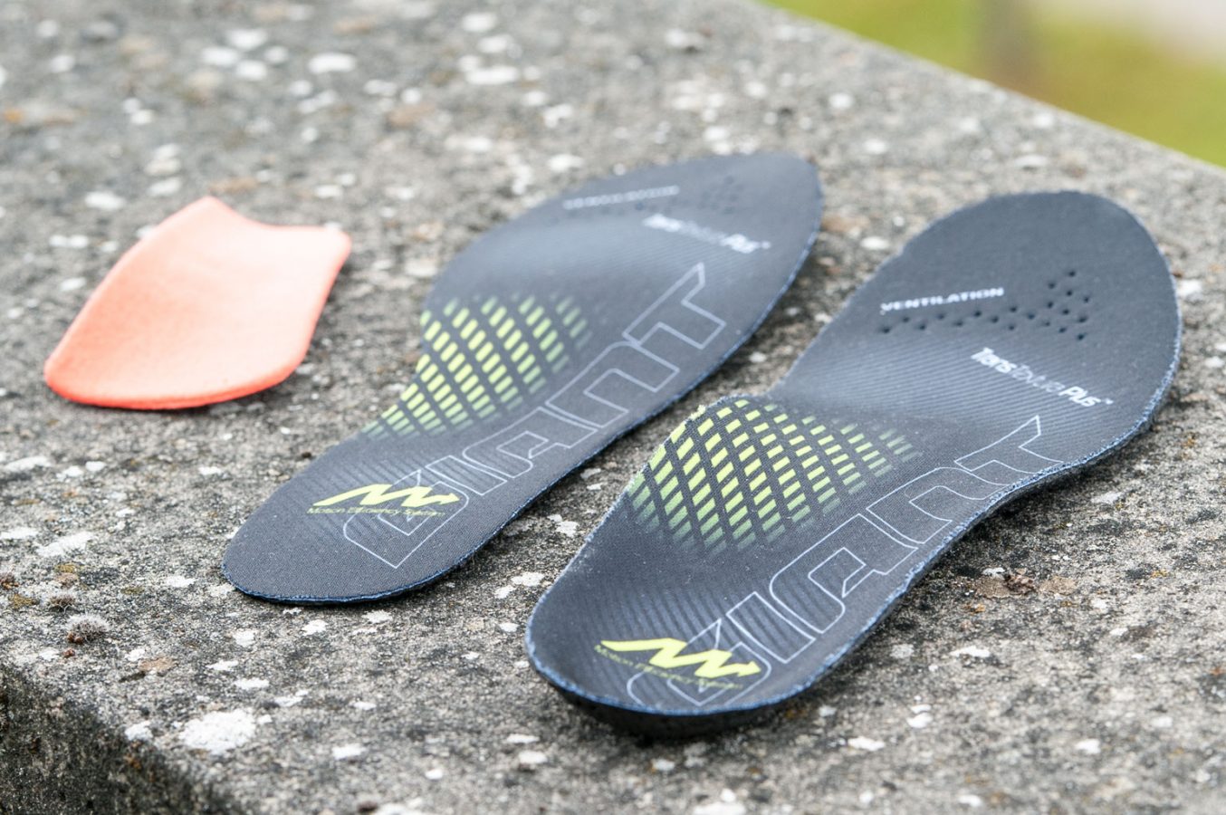 giant surge pro shoe