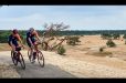 Favoriete gravelroute: Speulderbos en Ermelosche Heide