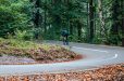 Mooie fietsroutes over de Veluwe vanaf het Merida Experience Center