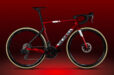 Italiaanse liefdesbaby: De Rosa 70 Origine x Campa